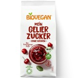 Zahar gelifiant fara fierbere nativ fara gluten, eco