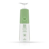 Cumpara ieftin Sampon pentru par - NISH LADY - Deep Detox - 947 ml