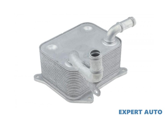 Racitor ulei Audi Q7 (2005-2009) [4L] #1