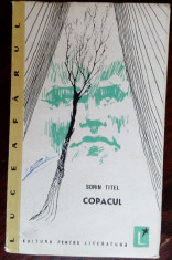 SORIN TITEL - COPACUL (volum de debut, EPL 1963) [pref. DUMITRU MICU] foto