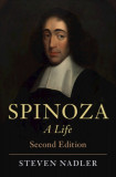 Spinoza: A Life