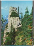 CPI B14156 CARTE POSTALA - VEDERE DIN MASIVUL BUCEGI