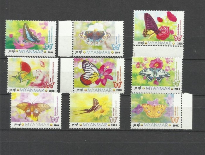 MYANMAR 2024 FAUNA INSECTE FLUTURI