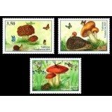 TAJIKISTAN 2019 CIUPERCI