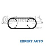 Curea distributie Audi 100 (1976-1982) [43, C2], Array