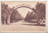 bnk cp Targoviste - Bulevardul I C Frimu - circulata 1953 - Libraria noastra