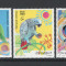 Somalia 1999 MNH, nestampilat - Mi. 746-48 - Papagali, pasari, fauna