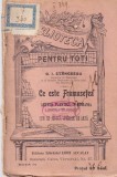 C. I. Stancescu - Ce este frumusetea. Artele plastice in Romania intre anii