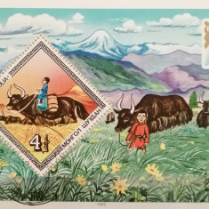 BC485, Mongolia 1983, colita neperforata fauna, traditii