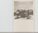 bnk foto Schiori la Cabana Poiana Secuilor 1960