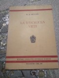 C. La rascrucea vitii j1941