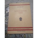 C. La rascrucea vitii j1941
