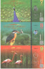 RARR : ATLANTIC FOREST - COALA NETAIATA 7 + 8 + 9 AVES APRILIE 2016 - UNC