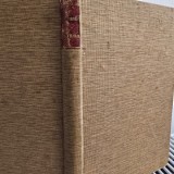 ISTORIA ROMANILOR SUB MIHAIU VODA VITEAZUL - NICOLAE BALCESCU