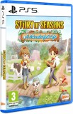 Story Of Seasons A Wonderful Life PS5