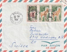 FILATELIE TEMATICA - PLIC COASTA DE FILDES TEMATICA FAUNA AIRMAIL