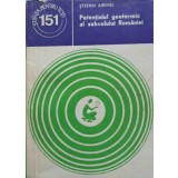 POTENTIALUL GEOTERMIC AL SUBSOLULUI ROMANIEI-STEFAN AIRINEI-245633
