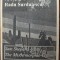 RADU SURDULESCU - SAM SHEPARD: THE MYTHOMORPHIC VISION (1996) [LIMBA ENGLEZA]