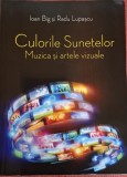 Culorile sunetelor. Muzica si artele vizuale - Ioan Big, Radu Lupascu (2015)