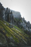 Tablou Canvas, "Misterul st&acirc;ncilor &icirc;nvăluite &icirc;n ceață", St&acirc;nci, &Icirc;nălțime, Păsări, Verdeață, Ceață, Rocă, Natură, Impresionant, Sălbatic, Pitoresc, 26