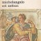 JURNALUL LUI MICHELANGELO CEL NEBUN