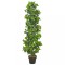 Gossi planta artificiala dafin cu ghiveci, verde, 150 cm