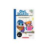 Eva's Big Sleepover: A Branches Book (Owl Diaries #9)