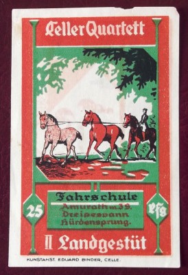 Germania notgeld 25 pfennig 1922 CELLE ** foto