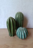Lot 3 cactusi decorativi ceramica