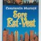 SPRE EST - VEST de CONSTANTIN MUSTATA , 2003
