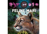 Cumpara ieftin Feline mari 3D