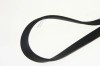 1184J6MA CUREA POLI V ELASTICA HUTCHINSON
