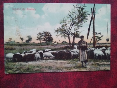 1909-C.P.circ.-Pastor foto
