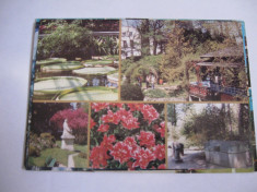 Carte postala - Cluj Napoca (Gradina botanica) foto