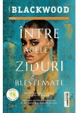 Intre aceste ziduri blestemate - Trei