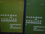 D. Flondor - Algebra si analiza matematica culgere de probleme, 2 vol. (1978)