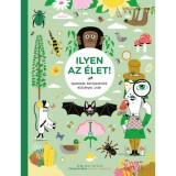 Ilyen az &eacute;let! - Nyomoz&aacute;s k&ouml;rnyezet&uuml;nk &eacute;lől&eacute;nyei ut&aacute;n - Mike Barfield