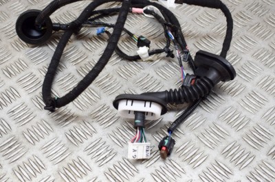 Cablaj ușă st&amp;acirc;nga spate TESLA MODEL 3 2020 OEM: 3067965-00-A 14951299 foto