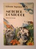 Gabriela Negreanu - Mototol-rostogol (ilustrații: Ștefan Damo; 1981)