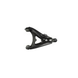 Brat Renault 19 I Chamade L53 FORTUNE LINE FZ6044