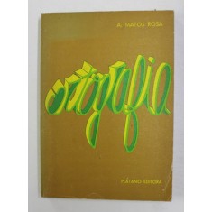 ORTOGRAFIA de A. MATOS ROSA , TEXT IN LIMBA PORTUGHEZA , 1979