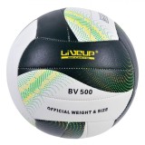 Minge Volei, Liveup, BV 500, Multicolor, Mărime Nr. 5, Oficială, Greutate Oficială