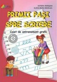 Cumpara ieftin Primii pasi spre scriere. Caiet de antrenament grafic/Estera Tintesan, Elena-Mura Nedelea, Cartex 2000