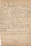 A3593N Theodor Pallady, act scris și semnat olograf