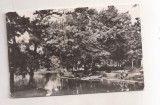 RF172 - Carte Postala - Buzau. Parcul Crang, circulata 1969