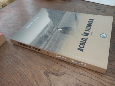 DUMITRU ALMAS- ACOLO IN FILIOARA * EDITIE SECUNDA, CU DEDICATIA FICEI AUTORULUI, 2020 foto