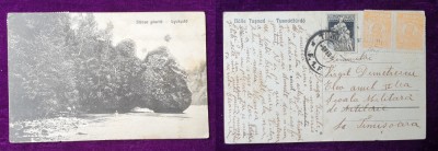 Carte Postala CIRCULATA - TIMBRATA anii 1920 - STANCA GAURITA - BAILE TUSNAD foto