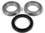 Set rulment roata IVECO DAILY III platou / sasiu (1999 - 2006) RINGER 1141006497