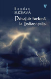 Peisaj de furtună la Indianapolis - Paperback brosat - Bogdan Suceavă - Vremea, 2022