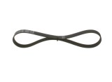 BOSCH 1 987 946 036 Curea transmisie cu caneluri